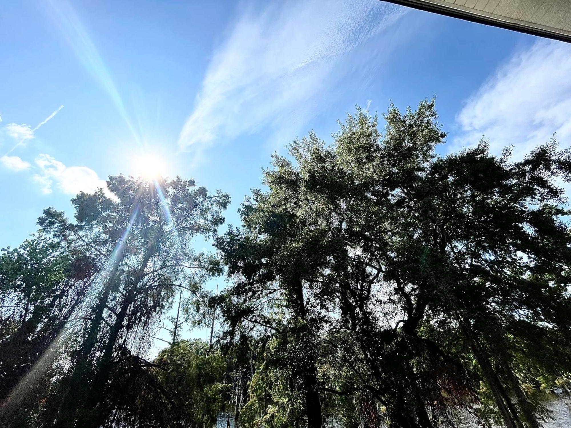 Bayou And Beyond Bayou View モンロー エクステリア 写真
